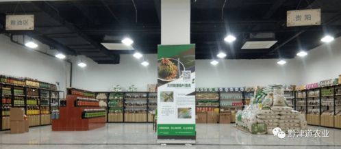 貴州戶戶達 以農產品展示體驗中心為橋，守護家鄉風味，服務會務展覽